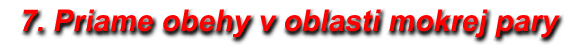 7. Priame obehy v oblasti mokrej pary